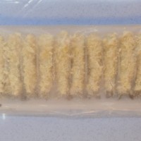 Tempura Shrimp 10Pcs x 20